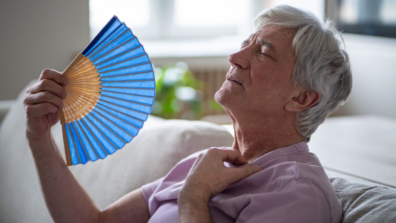 Wenn die Hitze zur Belastung wird